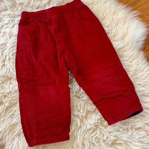 Velvet Jacadi Pant
